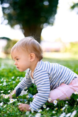Küçük çocuk papatyaların arasında yeşil bir çayırda oturuyor.