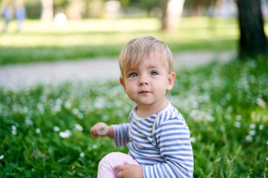 Çocuk yeşil çimenlerde oturuyor ve elinde bir karahindiba tutuyor.