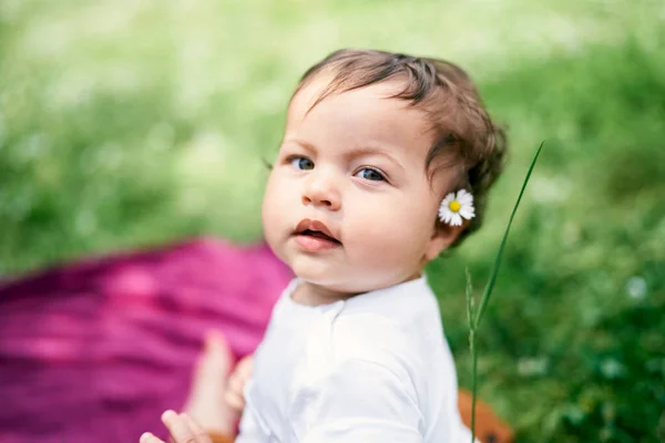 Kleines Mädchen mit Kamille hinter dem Ohr sitzt mit gedrehtem Kopf auf dem Rasen — Stockfoto