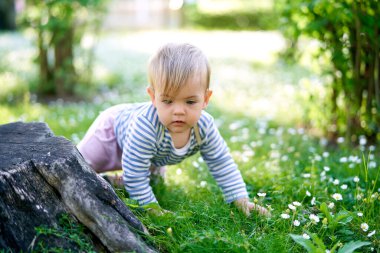Çocuk yeşil bir çimenlikte sürünüyor büyük bir kütüğün yanında