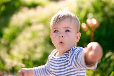 Çocuk böğürtlenli bir dal tutuyor. Yakın plan.