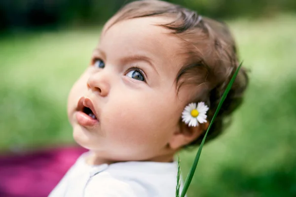 En liten flicka med en kamomill bakom örat. Närbild. Porträtt — Stockfoto