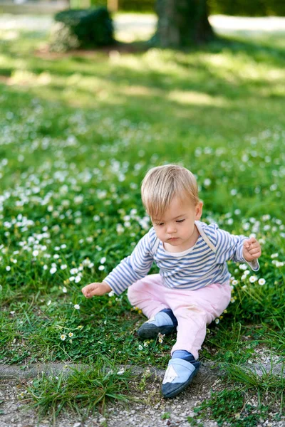 Kind sitzt auf grünem Rasen mit Gänseblümchen — Stockfoto