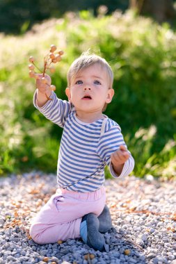 Çocuk kucağına oturur ve böğürtlenli bir dal tutar.