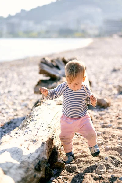 Anak-anak berjalan di dekat kayu apung di pantai — Stok Foto