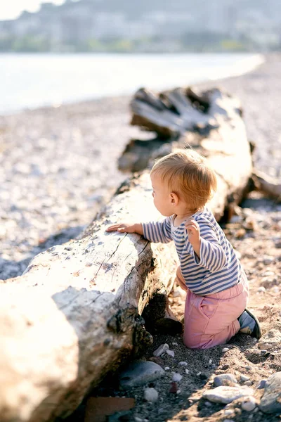 Anak itu berlutut di dekat kayu apung di pantai — Stok Foto