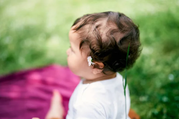 Ein kleines Mädchen mit einer Kamille hinter dem Ohr sitzt auf dem Rasen. Ansicht von oben — Stockfoto