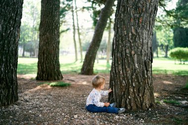 Çocuk büyük bir ağacın yanında oturur ve elleriyle ona dokunur.