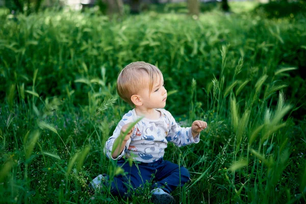 Grabben sitter på gräsmattan bland de gröna spikelets — Stockfoto