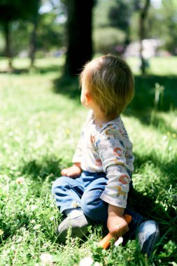Çocuk parkta yeşil bir çimenlikte oturuyor ve elinde bir havuç tutuyor, geri dönüyor.