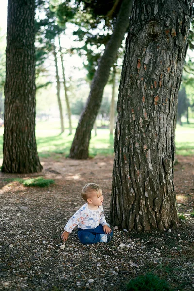 Barnet sitter på marken nära ett stort träd i parken — Stockfoto