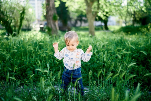 Kind steht mit erhobenen Händen im hohen grünen Gras im Park — Stockfoto