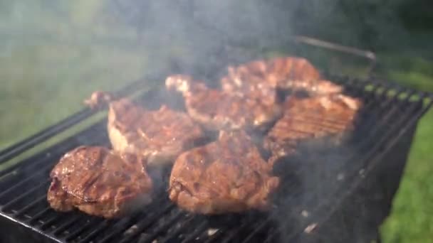 Los filetes están a la parrilla. Picnic en el jardín. — Vídeos de Stock