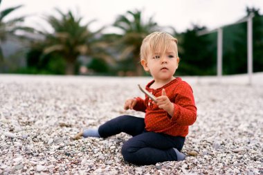 Küçük bebek bir çakıl taşı kumsalında oturuyor ve elinde bir sopa tutuyor.