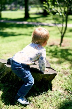 Küçük çocuk parktaki büyük bir ağaç kütüğünde oturuyor yeşilliklerin arasında.