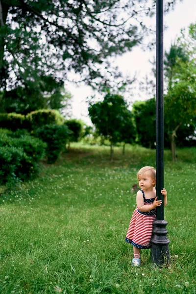 Маленькая девочка держит за руки фонарь в зеленом парке — стоковое фото