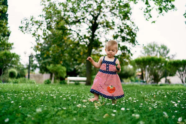 Bambina con un cetriolo in mano cammina su un prato fiorito — Foto Stock