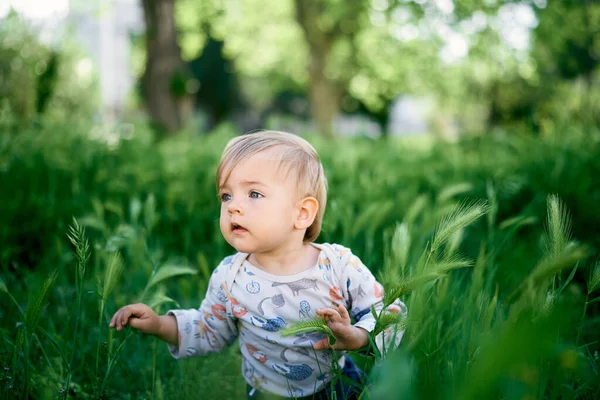 Маленька дитина сидить у високій траві. Портрет — стокове фото