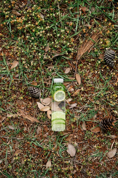 Garrafa de água com limão e limão no interior fica no chão perto de cones de abeto e agulhas de abeto — Fotografia de Stock