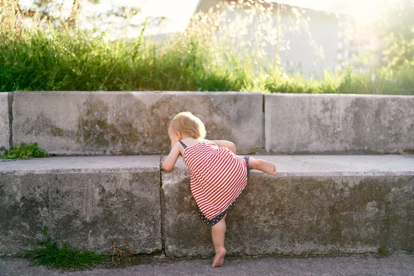 Kleines Mädchen im Kleid erklimmt hohe Steinstufen im Park — Stockfoto