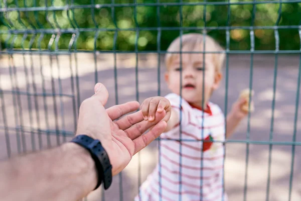 Kid holds an adult hand while standing behind a fence — Stock Photo, Image