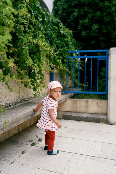 Bambina in un cappello di panama si trova vicino a un muro di pietra intrecciato con edera verde — Foto Stock