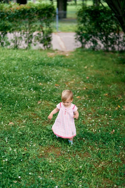 Ragazzina in abito cammina su un prato verde — Foto Stock