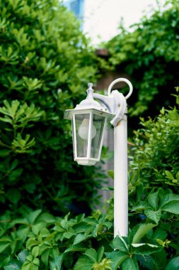Evin yakınındaki yeşil çalıların arasında beyaz fener.