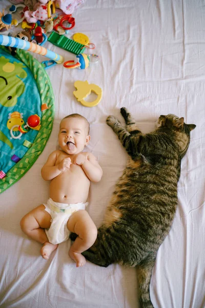 Baby i blöjor ligger på sängen bredvid en stor tabby katt — Stockfoto