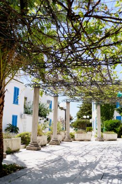 Evin bahçesinde üzümlerle sarmalanmış kolonları olan teras.