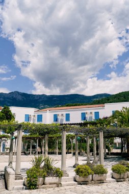 Evin ve dağların zeminine sarılmış, üzümlerle çevrili sütun verandası.