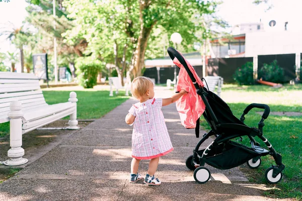 Klein meisje raakt een kinderwagen aan terwijl ze op het pad in het park staat. Achteraanzicht — Stockfoto