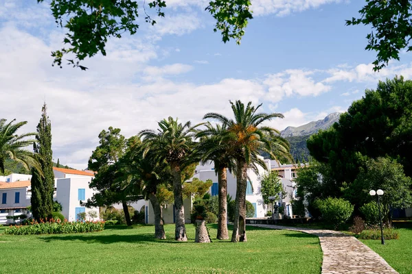 Hurma ağaçları, çalılar ve patika şeklinde yeşil çimenler...