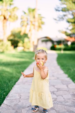 Küçük kız parkta asfalt bir yolda duruyor ve bir elma kemiriyor.