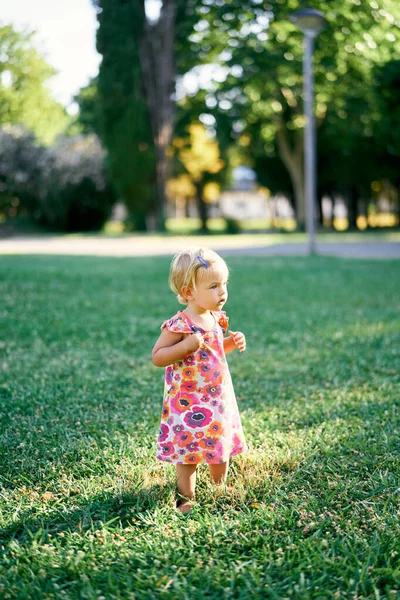 Kleines Mädchen steht seitlich auf grünem Rasen im Park — Stockfoto