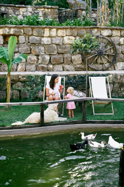 Mãe e filha estão sentados em uma mesa no gramado junto à lagoa com patos — Fotografia de Stock