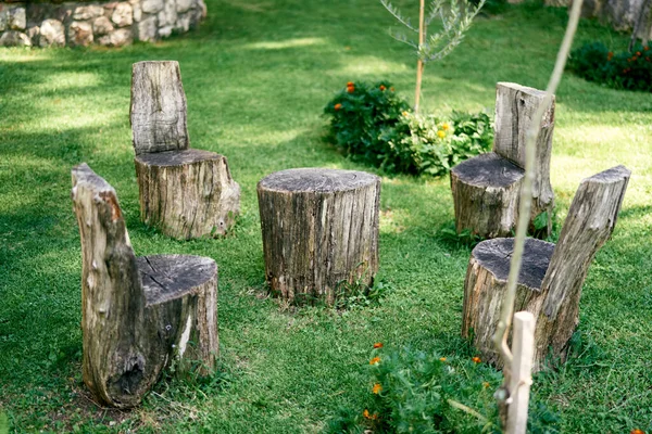 Stumps na forma de cadeiras e um suporte de mesa em um prado verde — Fotografia de Stock