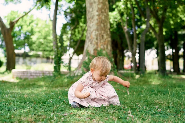 Маленька дівчинка сидить на зеленій траві біля стовбура літака, переплетена плющем — стокове фото
