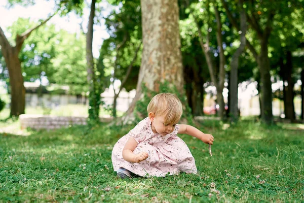 Liten flicka sitter på det gröna gräset nära planet träd bagageluckan, sammanflätad med murgröna — Stockfoto