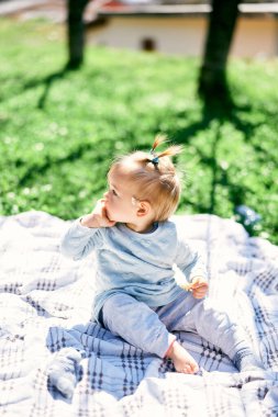 At kuyruklu küçük bir kız yeşil bir çimenlikteki battaniyeye oturur ve başını çevirir.