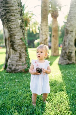 Küçük çıplak ayaklı kız elinde büyük bir ladin konisiyle palmiye ağaçlarının altındaki yeşil çimlerde duruyor.