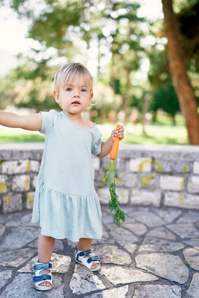 Little girl with a carrot in her hand stands in the park and points to the side — ストック写真