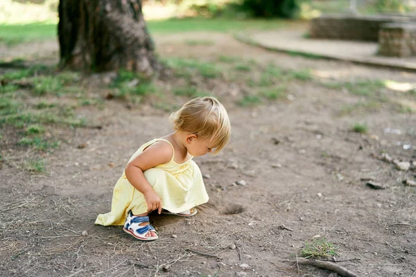 Liten flicka huk nära ett hål i marken nära ett träd — Stockfoto