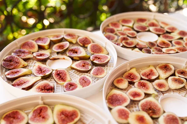 Proceso de secado de frutas en placas deshidratadoras —  Fotos de Stock