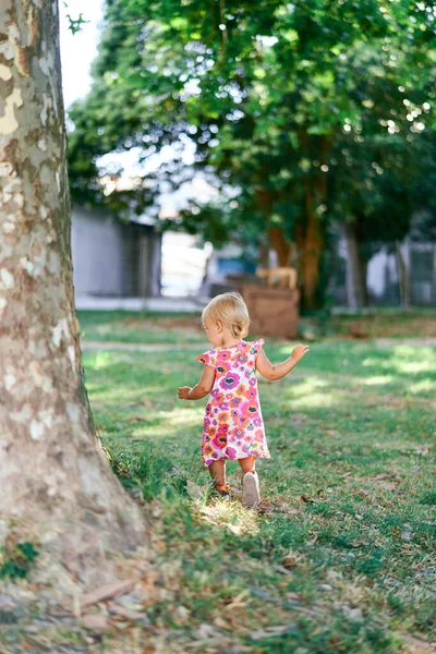 Liten flicka går förbi ett mullbärsträd i en grön park — Stockfoto
