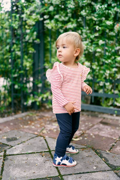 Little girl stands at a metal fence with a flowering bush, turning her head back — Stock Photo, Image