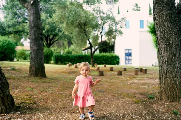 Dívka kráčí na mýtině poblíž pařezů na nádvoří — Stock fotografie