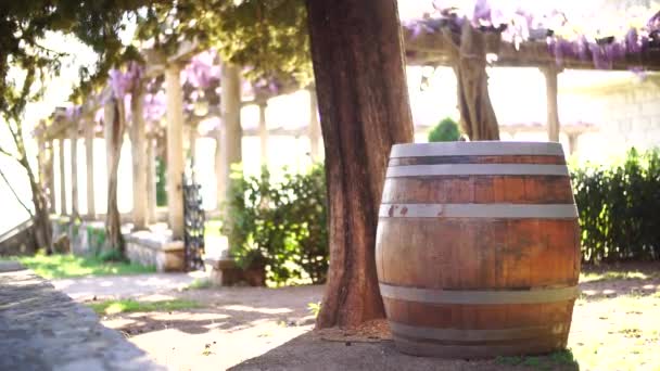 Dřevěný sud stojí na trávníku poblíž terasy s kvetoucí fialovou vistárií — Stock video