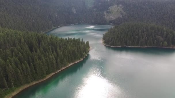 Drone flight over the surface of Black Lake. Durmitor National Park — Stock Video
