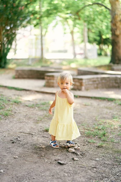 Bambina in piedi a terra nel parco — Foto Stock